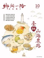 CountryRoad 鄉間小路